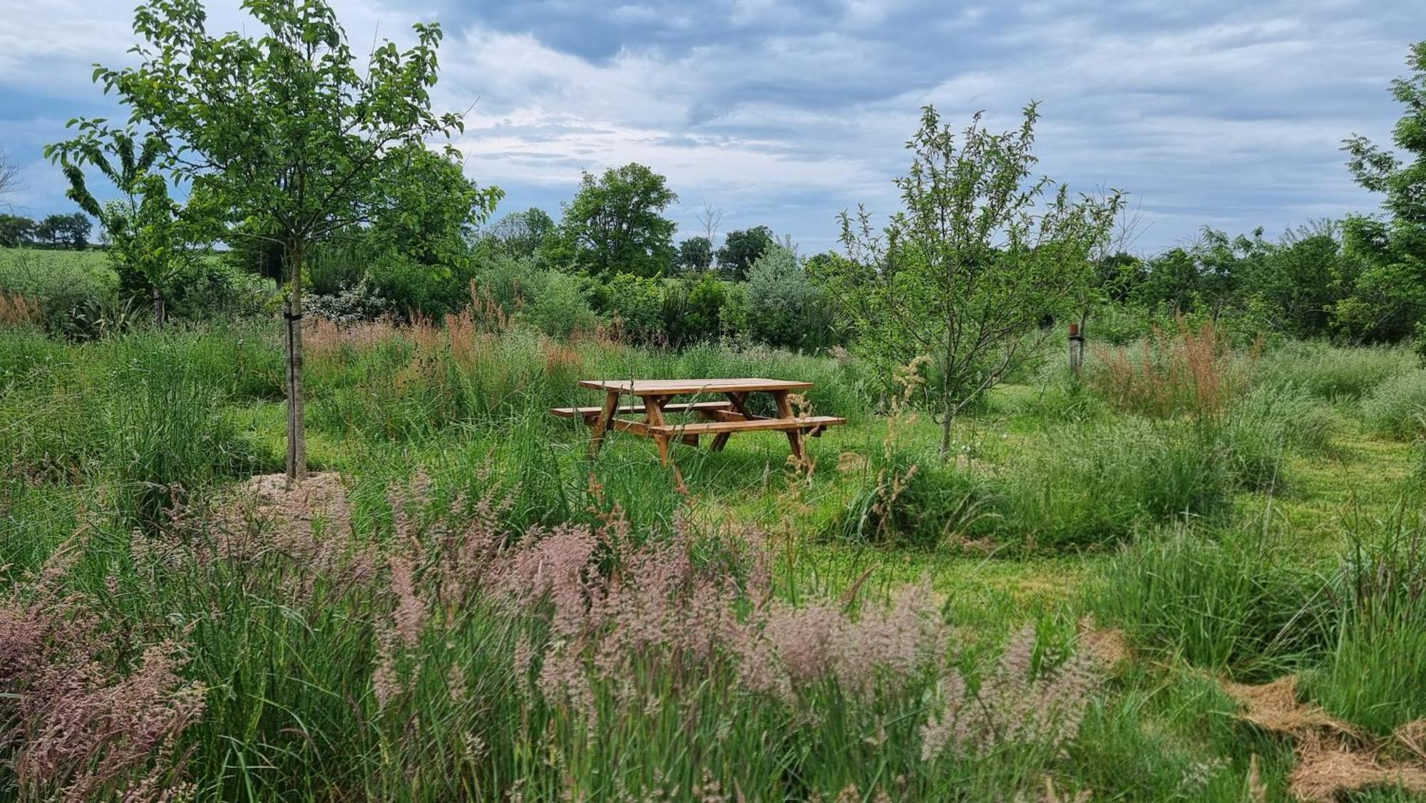 Chambres Et Gite Dans Un Lieu Calme Et Champetre Gourge Les Grippeaux Proche Parthenay Εξωτερικό φωτογραφία